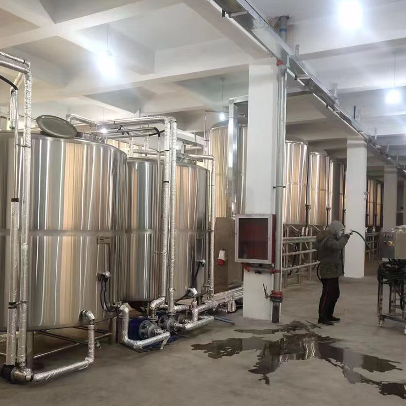 汪场镇小型啤酒设备